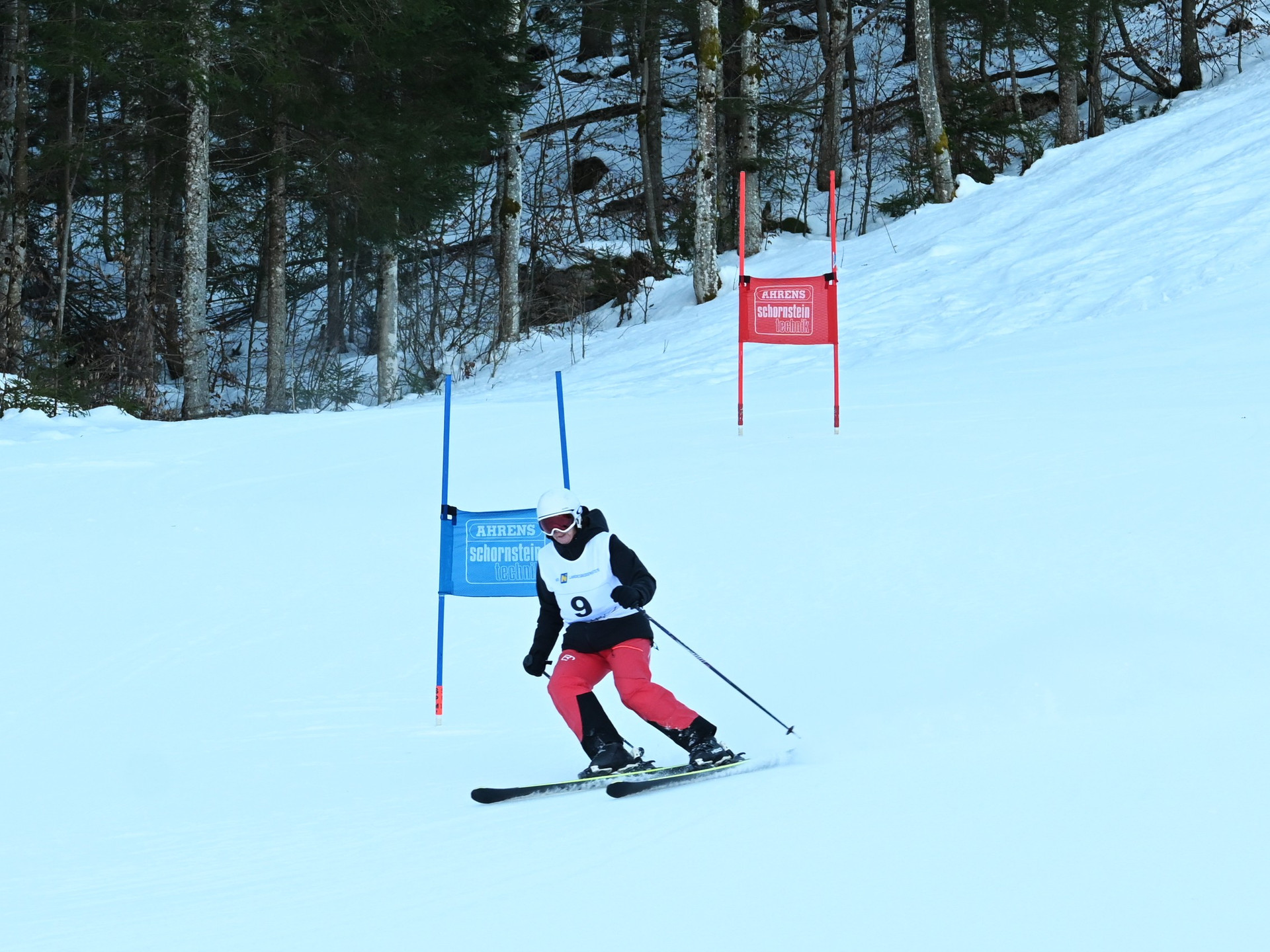 Schitag_2026 (5).jpg